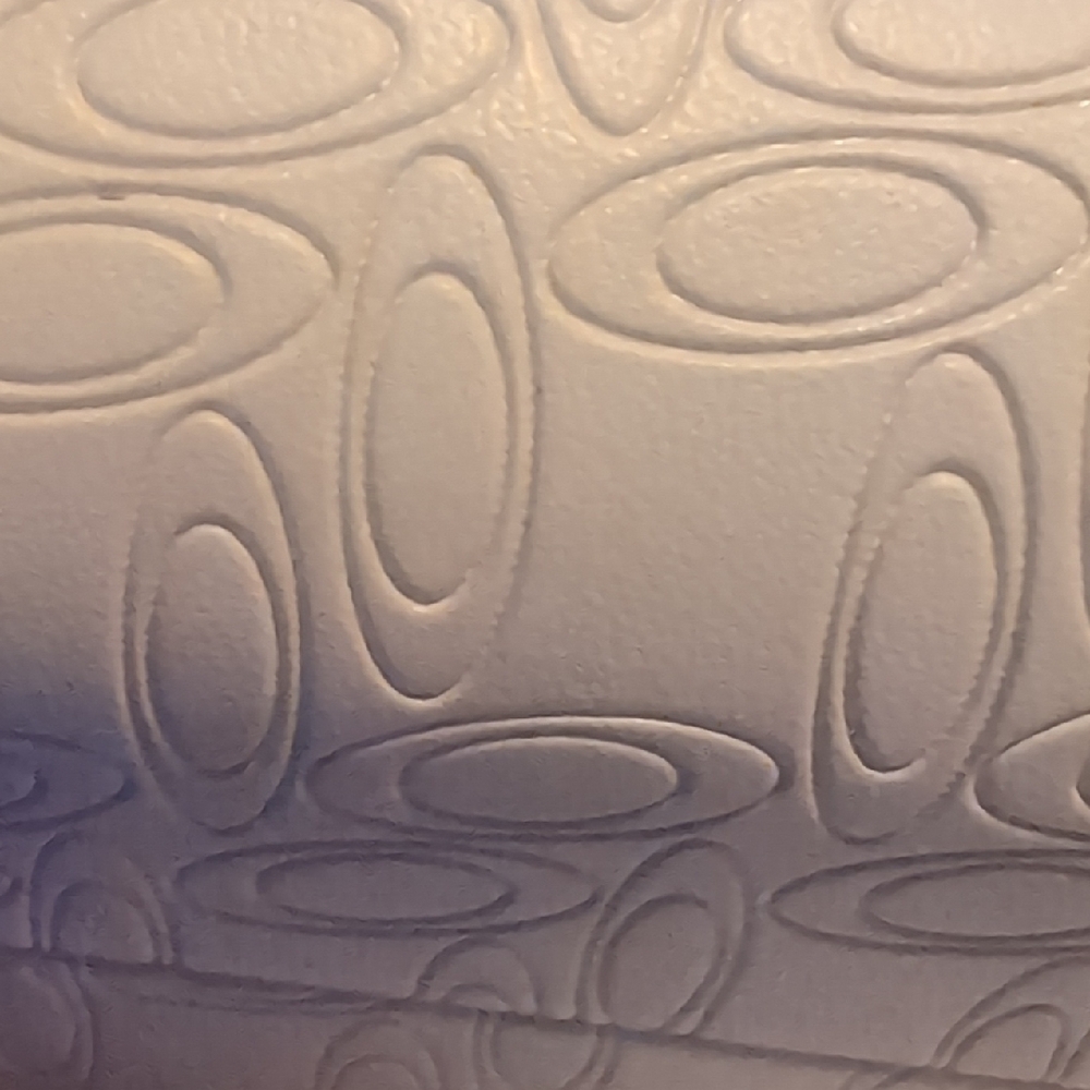 White Oakley Glasses Case With White Oakley Glasses Protective Bag